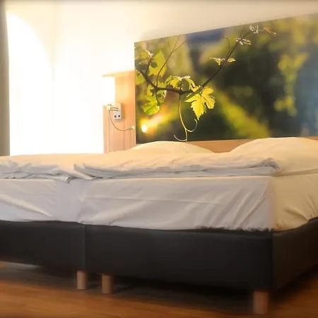 德意志之家酒店 酒店